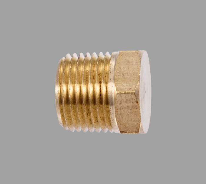 Pipe Cored Hex Plug Brass Fittings | Brass Pro